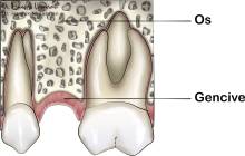 Notre zone d'activité pour ce service Cabinet dentaire pour traitement de caries