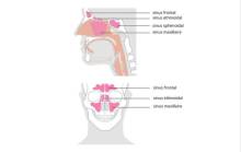 Nos prestations sur le secteur de près de Grenoble 38 Isère